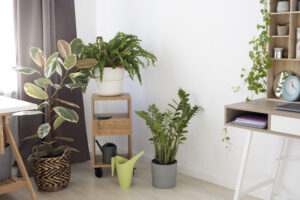 Hermoso diseño de interiores con plantas verdes