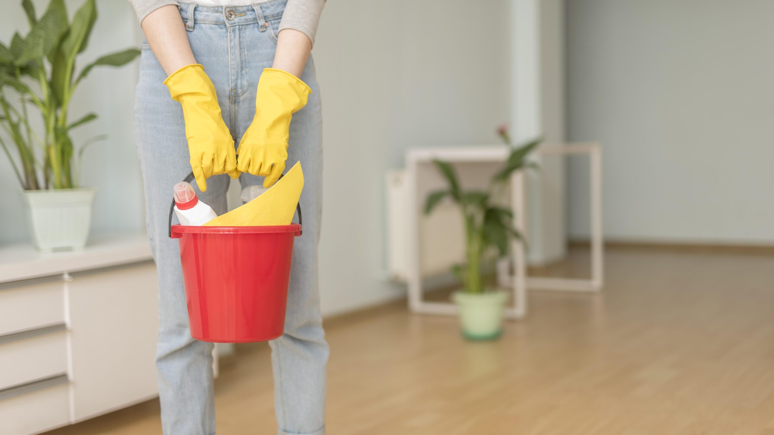 imagen de mujer que va a limpiar su casa.