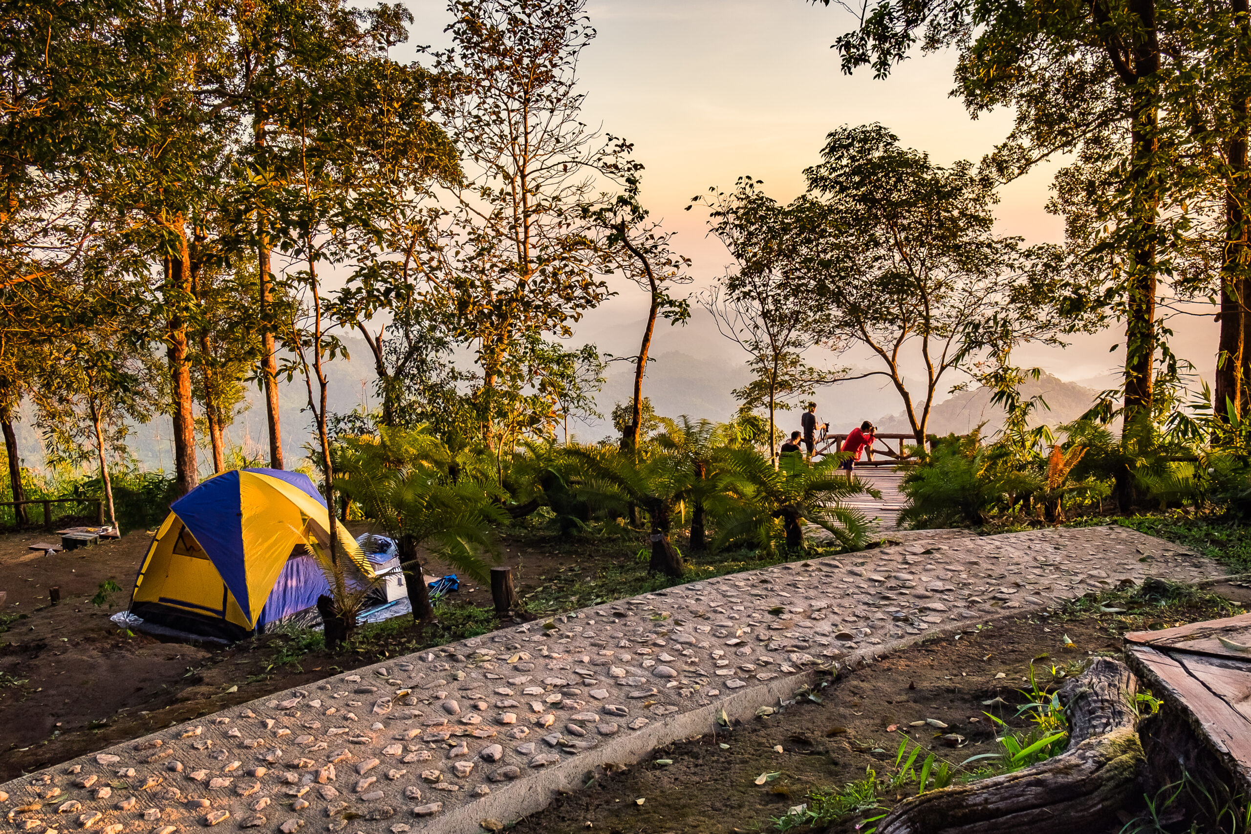Personas acampando en una montaña con arboles