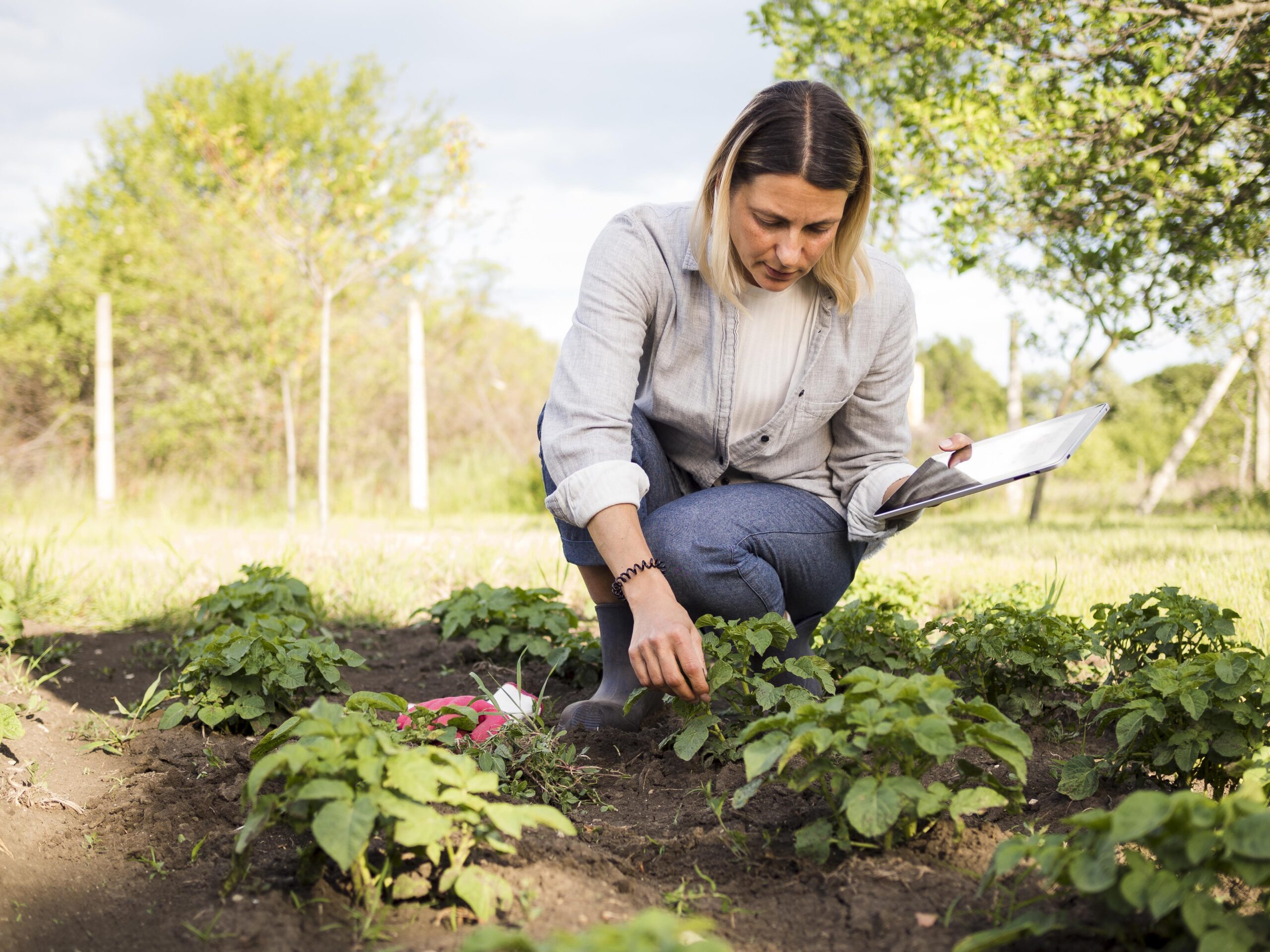 Mujer agricultora revisando su jardín en Culiacán: Descubre el éxito agrícola y la calidad de vida en esta ciudad en desarrollo