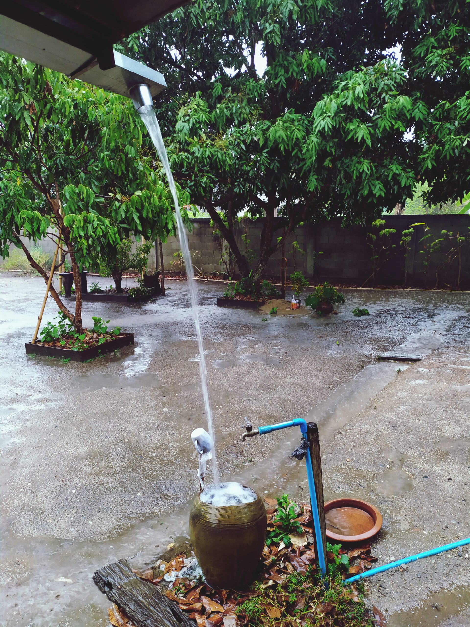 fountain-garden