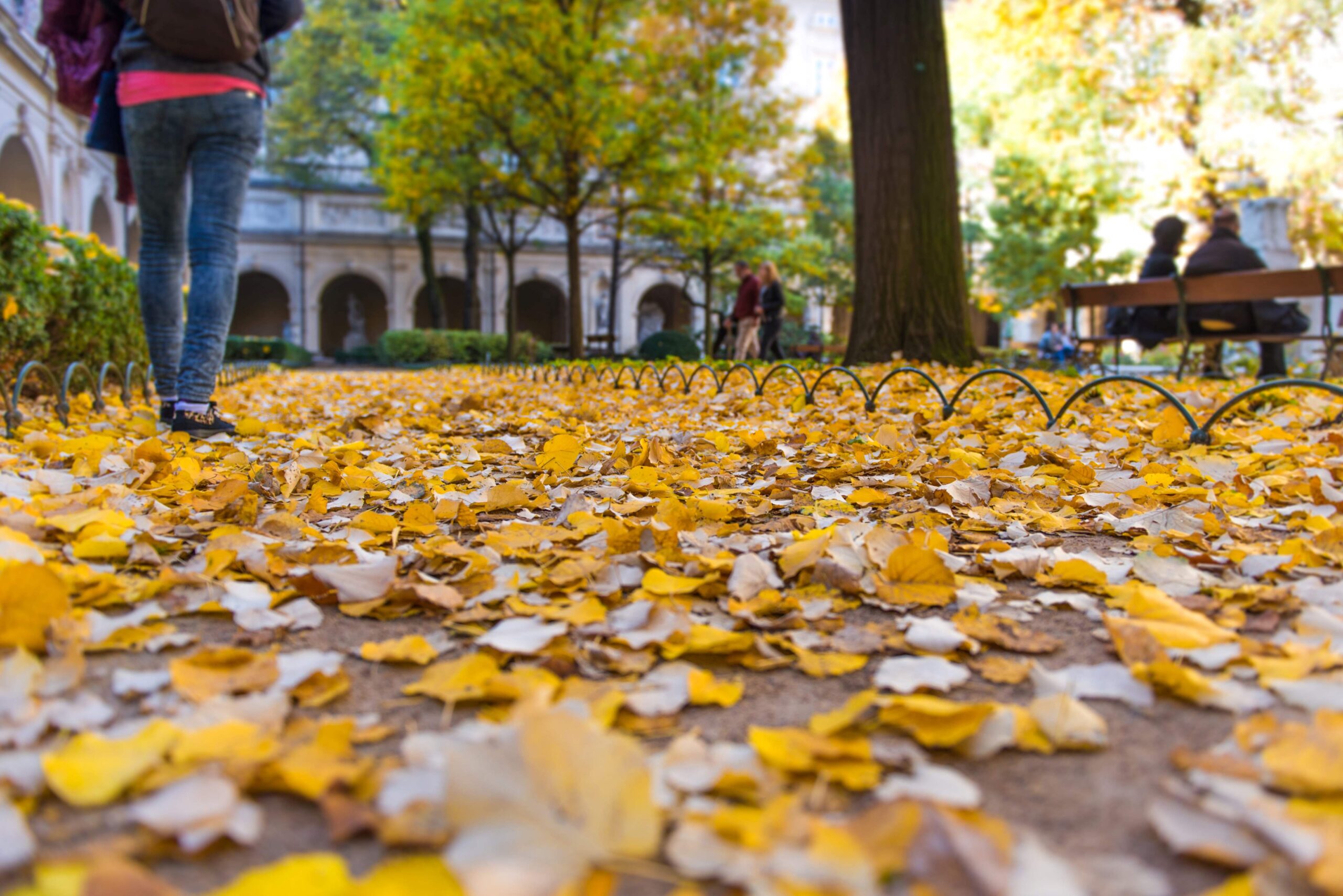 autumn-leaves-floor