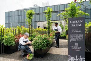 Mantenimiento de los Jardines de El Hotel Parkroyal on Pickering 