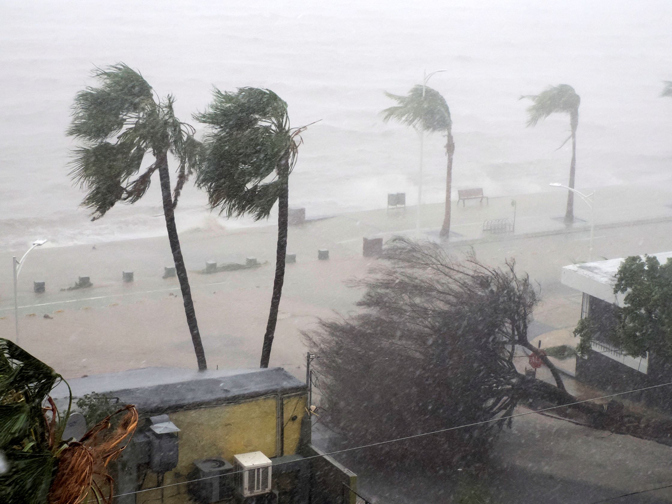 strong-wind-effects-hurricane-norma-october-2023-la-paz-baja-california-sur