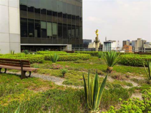 Area-Verde-en-el-Edificio-HSBC-de-la-Ciudad-Mexico