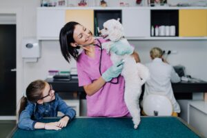 Cuidados del veterianario para su mascota