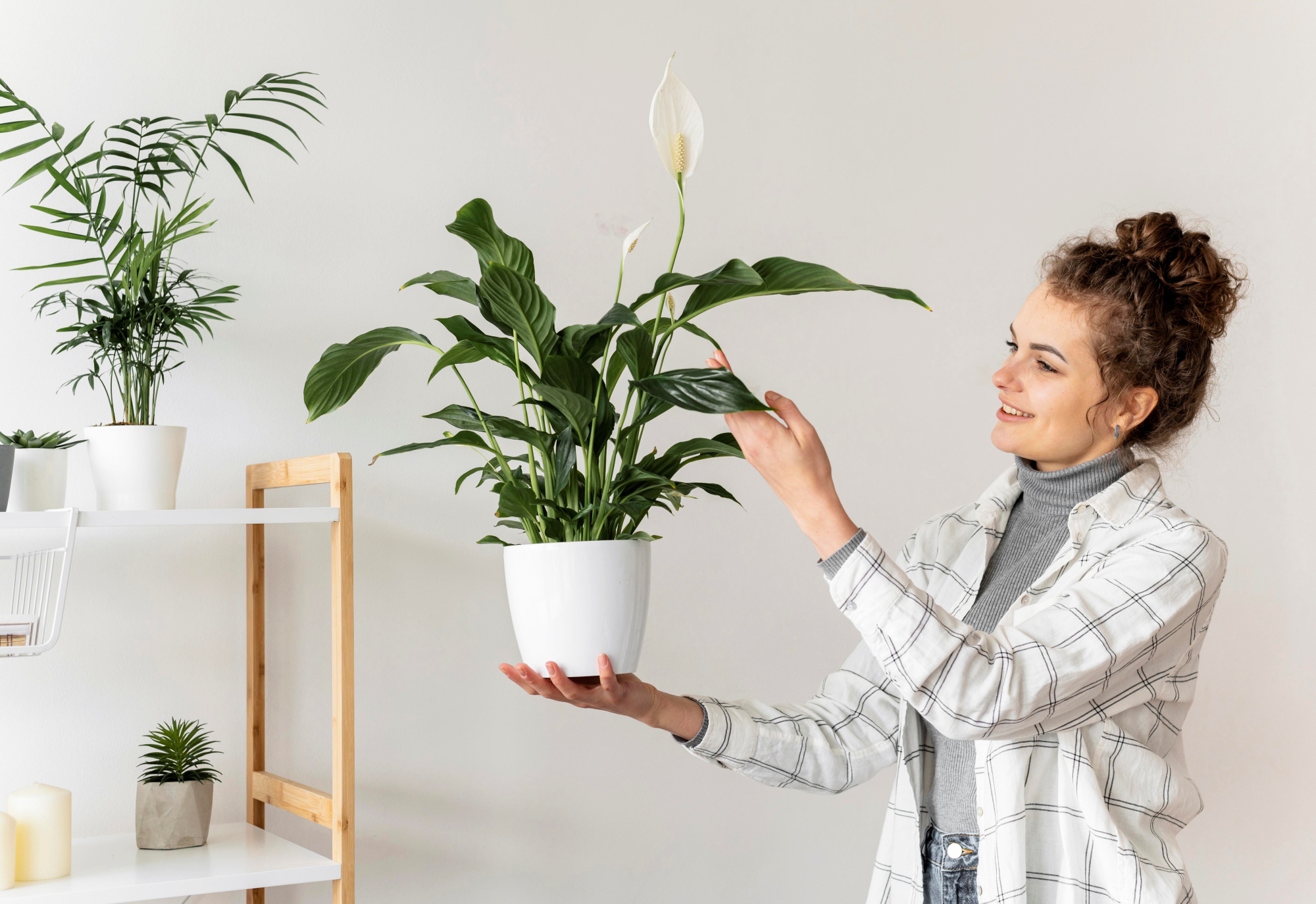 Las 5 plantas que debes tener en la entrada de tu casa según el Feng Shui